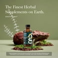 thumbnail image 3 of Gaia Herbs Bronchial Wellness Syrup Kids - Immune Support Supplement - Throat & Lung Health Support* - Certified Organic Formula with English Plantain, Grindelia & Honey - 3 Fl Oz (18 Servings), 3 of 9