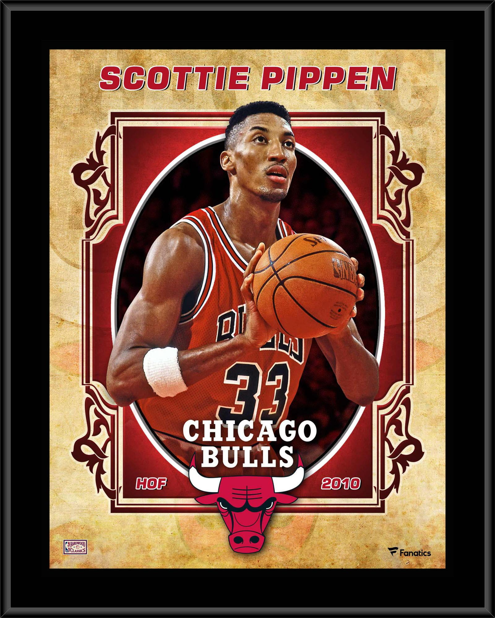 hardwood classics scottie pippen