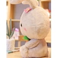 thumbnail image 5 of Set de regalo para bebés HUOGUO, hermoso peluche de conejo peludo, 5 of 5