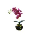 thumbnail image 1 of Inteprter Bonsái de orquídeas artificiales con maceta de cerámica, maceta de simulación de Phalaenopsis, figurita de flores falsas, balcón para el Decoración rosa violeta Inteprter HA084076-03, 1 of 6