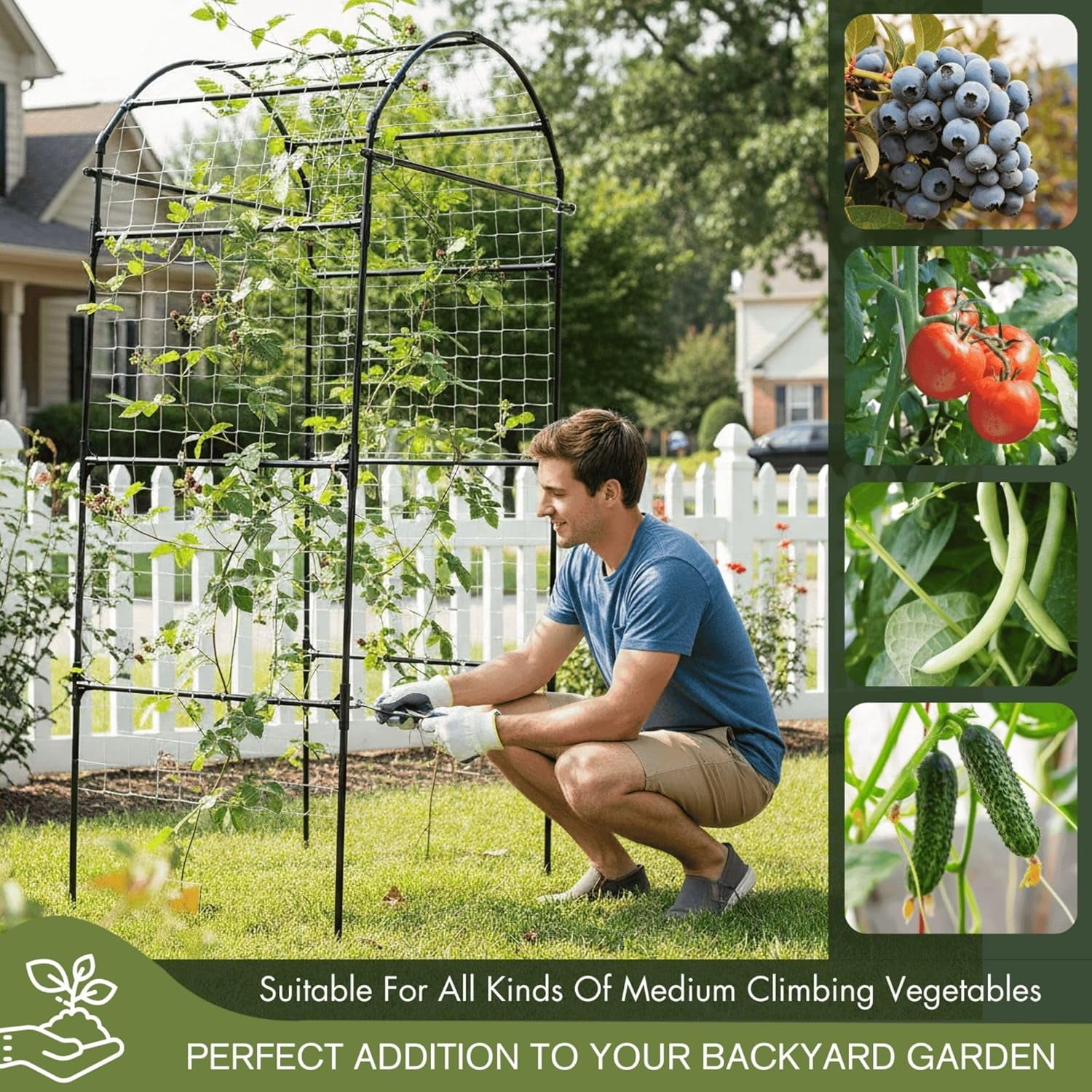 79" Garden Trellis Arch for Climbing Plants – Tall Outdoor Metal Trellis for Vegetables, Peas, Tomatoes,﻿ Cucumber Trellis Arch & Vertical Garden Climber Plant Support for Vine Plants
