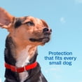 thumbnail image 5 of ADAMS Plus Flea & Tick Collar for Dogs, Small, 5 of 11