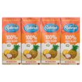 thumbnail image 3 of Rubicon Pineapple & Coconut 'No Sugar Added' 100% Juice Blend, 3 of 11