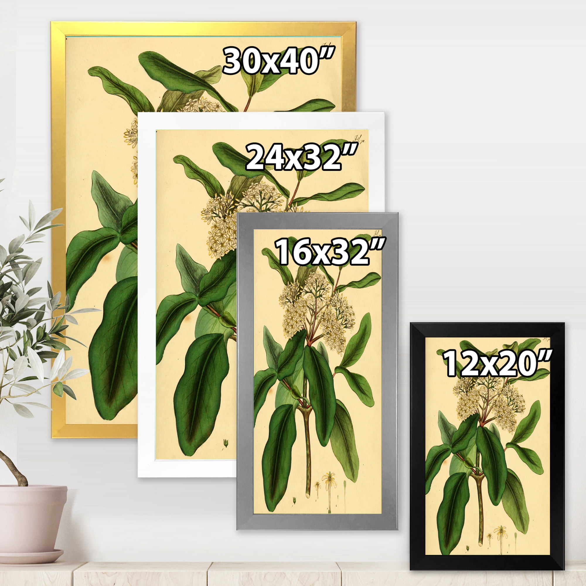 Designart 'Ancient Plant Life I' Traditional Framed Art Print