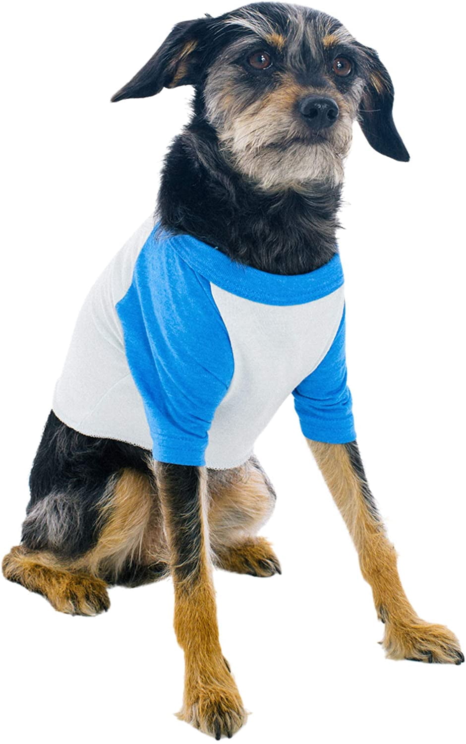american apparel dog hoodie