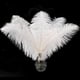 thumbnail image 3 of Piokio 20 plumas de avestruz blancas de 10 a 12 pulgadas (25 a 30 cm) a granel para decoraciones navideñas, centros de mesa de bodas, decoraciones Gatsby, 3 of 4