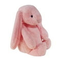 thumbnail image 1 of Uinagy Long-Eared Rabbit Plush Toy A, 1 of 7