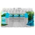 thumbnail image 6 of Zephyrhills Florida Spring Water, 16.9 fl oz, 35-Pack Plastic Bottles, 6 of 11