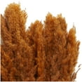 thumbnail image 5 of 35" Grass Dried Plant Natural Foliage Pampas Bouquet with Long Stems, by DecMode, 5 of 8