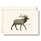 thumbnail image 1 of Juego de Tarjetas de Notas Earth Sky + Water 9x13 cm, 8 unidades, 1 of 3