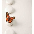 thumbnail image 3 of Spa Duvet Cover Set, Plain Pattern with Butterfly and Rocks Wellness Purity Healing Serenity Bohemian, Decorative 2 Piece Bedding Set with 1 Pillow Shams, Twin Size, White Orange, by Ambesonne, 3 of 3