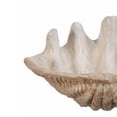 thumbnail image 3 of Benjara Medium Clam Shell Accent, White, 3 of 6