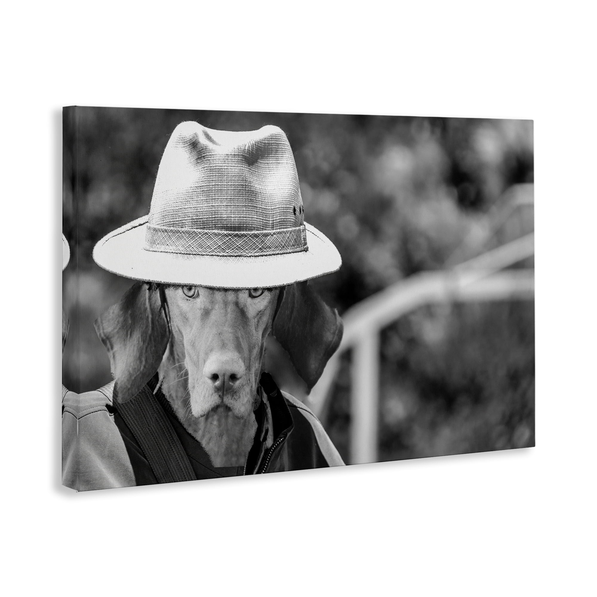Stupell Industries Country Cowboy Dog Animals & Insects Photography Gallery Wrapped Canvas Art Print Wall Art, 24 x 16