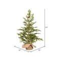 thumbnail image 2 of Árbol de Navidad Vickerman de Cedro y Pino 24 cm para Mesa, Sin Luces, 2 of 3