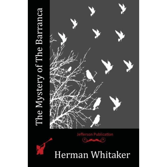 The Mystery of The Barranca (Paperback)