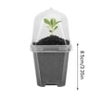 thumbnail image 6 of bestolf Clear Plant Nursery Pots Plastic Reusable Seedlings Pots with Humidity Dome 3" Gardening Pots Small Planters for Succulents Herbs Seedlings Cuttings, 6 of 8