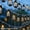 1.5M 10LED, variant on KOYPTL 118 Inch 20 LED Black Lantern String Lights Mini Vintage Christmas Halloween Decoration Kerosene Lamp Battery Powered Fairy String Lights for Patio Garden Holiday Indoor Outdoor Home Decor