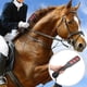 thumbnail image 3 of Eigraketly Caballo Crop PU cuero mango montar paleta deporte al aire libre escenario reutilizable carreras caballos entrenamiento Accesorios Cuidado ecuestre y deportes, 3 of 6