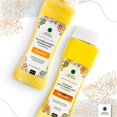 thumbnail image 4 of Chamomile shampoo and conditioner set (3 pack) magia natural shampoo de manzanilla magia natural acondicionador magia natural Crema para peinar desenredante, 4 of 5