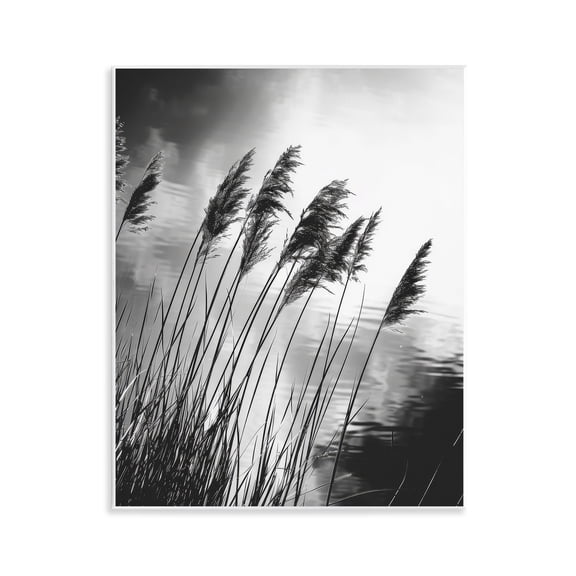 Stupell Industries Contemporary Stark Contrast Wheat Wall Plaque Art, 11 x 14, by Petals Prints Design