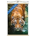 thumbnail image 2 of Tigre - Eau, 2 of 4