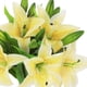 thumbnail image 2 of 5 flores artificiales de lirio, flores falsas de tacto real para bodas, hogar, fiesta, jardín, tienda, decoración de oficina, flores artificiales de lirio de plástico., 2 of 7