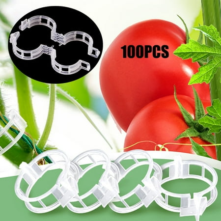 

Plant Support Clips Tomato Clip Crop Clip Vine Fixing Clips for Tomato Sweet Pepper Eggplant and Fruit Vegetables Garden Clips White Transpartent 100 PCS