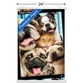 thumbnail image 3 of Avanti - Photo Booth Wall Poster with Wooden Magnetic Frame, 22.375" x 34", 3 of 3