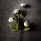 thumbnail image 2 of Flores artificiales de peonía VIERENA, 12 piezas, 69 cm, color crema, 2 of 9