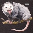 thumbnail image 3 of CafePress - Opossum189 Men's Football T Shirt - Mens Football Shirt, 3 of 4