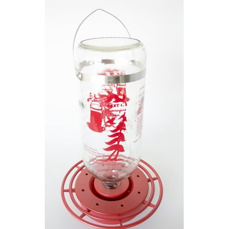 Best Hummingbird Feeder with Huge 32oz Glass Nectar Tank - Bee & Wasp Proof - Includes Built-In Perch & 8 Feeding