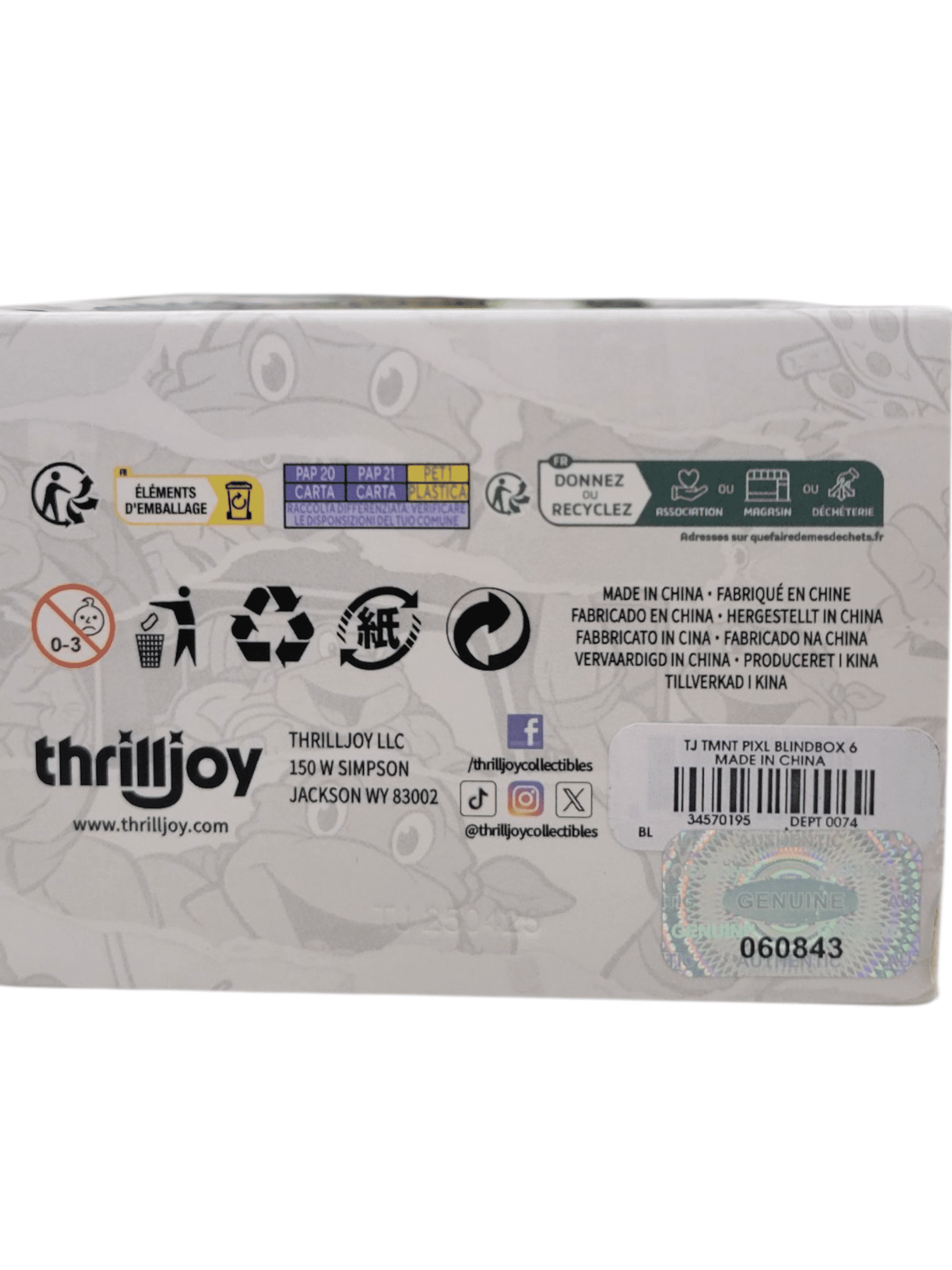 Thrilljoy PIXL Teenage Mutant Ninja Turtles Blind Box Figure