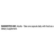 Equate Memory Support Dietary Supplement Capsules, 30 Count, Compare vs Prevagen® Regular Strength