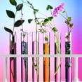 thumbnail image 3 of MasteelfCA 15Pcs Glass Vial Container Cork Stopper Glass Test Tubes for Chemical and Home Use, 3 of 9