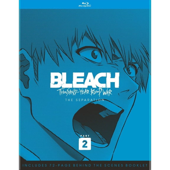 Bleach: Thousand-year Blood War Part 2