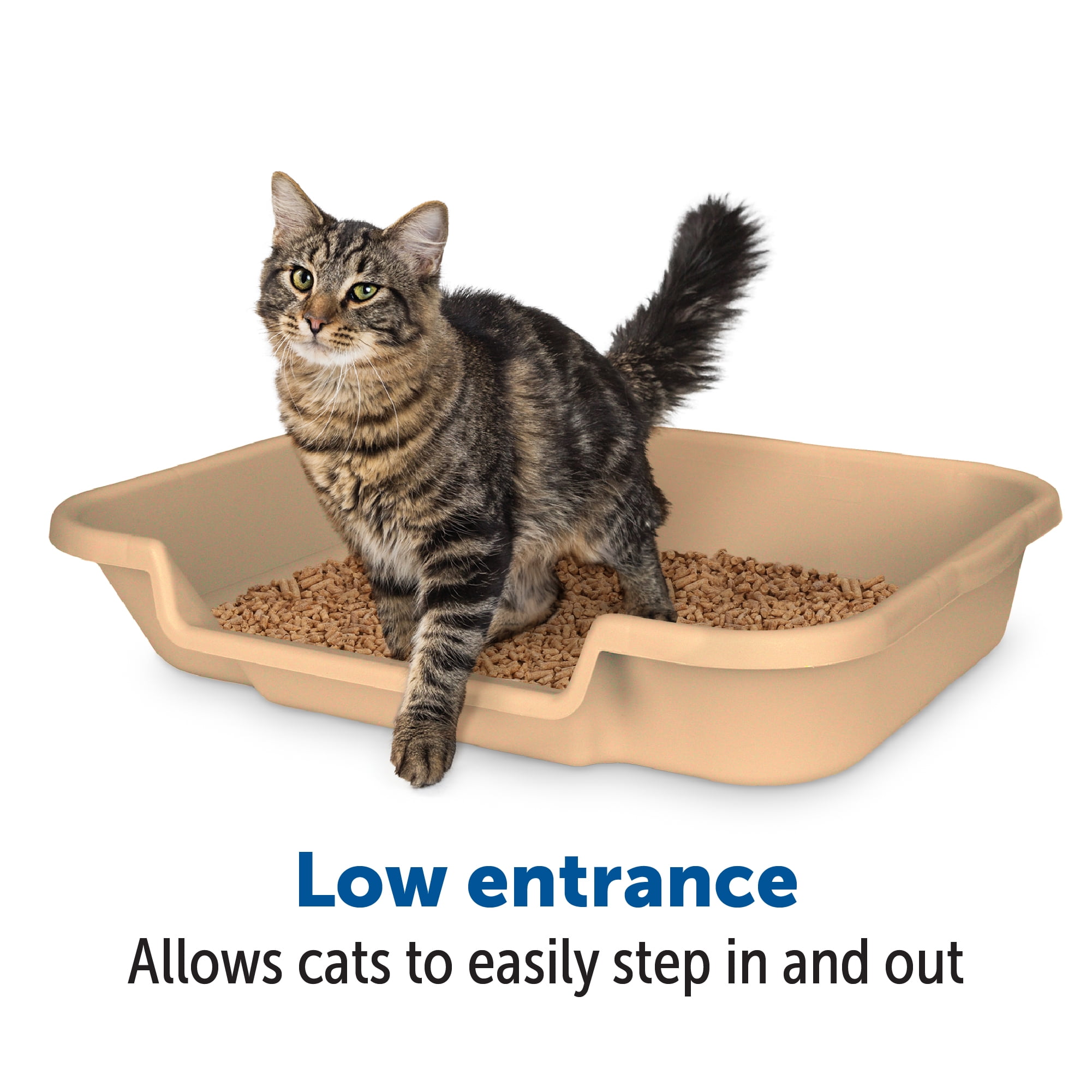Kitty go here litter box online