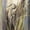 Unframed, variant on Coastal Heron Art Print by Brent Heighton, 16" x 16"