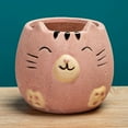 thumbnail image 4 of Shisuyan 2Pcs Decorative Plant Pots Household Flower Pots Multi-function Succulent Pots Flower Supply, 4 of 8