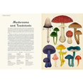thumbnail image 2 of Fungarium: Welcome to the Museum, 2 of 3