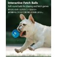 thumbnail image 4 of Bolas de peluche para perros SCHITEC Squeaky Soft [paquete de 6], 4 of 7