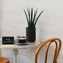 Raindrops  4 Pcs First Day of School Chalkboard Small Blackboard Sign