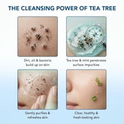 Botanic Hearth Tea Tree Face Wash With Mint | Acne Fighting, Premium, Hydrating Liquid Face Soap With Pure Tea Tree Oil | For Women And Men, Paraben Free, Fights Acne | 16 Fl Oz (Packaging May Vary)