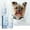 A2759 Fufafayo under $5, variant on Fufafayo under $5 Pet Serum, Leave In Coat Smoothing Spray for Dogs Cats, Remover and Detangling Solution, Hair Care Treatment for Grooming Maintenance