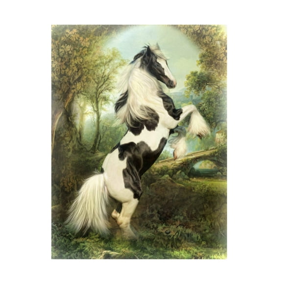 Canvas Wall Art - Trudi Simmonds 'Romany Gypsy' Wall Art for Living Room, Bedroom, or Office Décor by Trademark Fine Art - 14 x 19 Inches