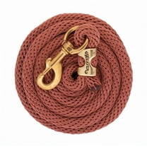 Weaver 10' Solid Poly Lead Rope with Bolt Snap, Cinnamon