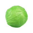 thumbnail image 4 of DOLITY Artificial Vegetable Centerpiece Simulation Vegetable for Drawing Party Shop Cabbage, 4 of 9