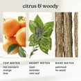 thumbnail image 3 of Homeidcs SereneScent™ Mandarin Basil 15ml Home Fragrance Essential Oil, 3 of 5