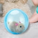 thumbnail image 4 of Juguetes de pelota eléctrica Hugo aprendizaje interactivo juego desarrollo diversión niñas regalos hámster marrón Juguetes de bolas eléctricas, 4 of 8