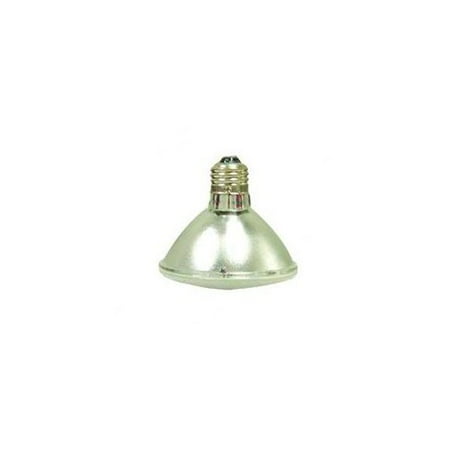 Cal Lighting Incandescent Long Neck Flood Light Bulb (Set of 2)