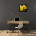 thumbnail image 4 of Tenoever, William 20x20 Black Modern Framed Museum Art Print Titled - Brittlebush, 4 of 5